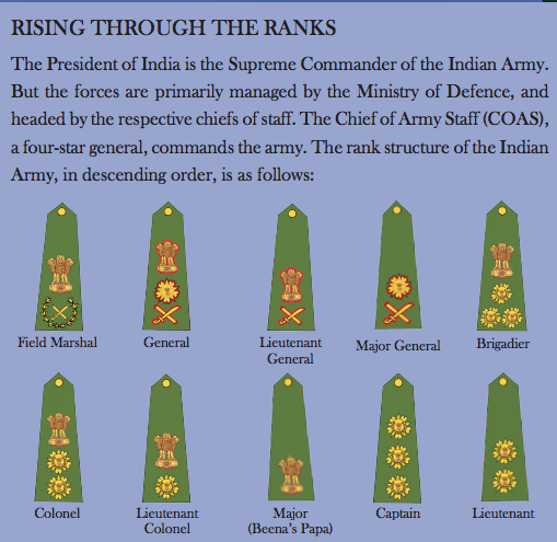 Test Your Knowledge of the Rank Structure of Our Amazing Armed Forces ...